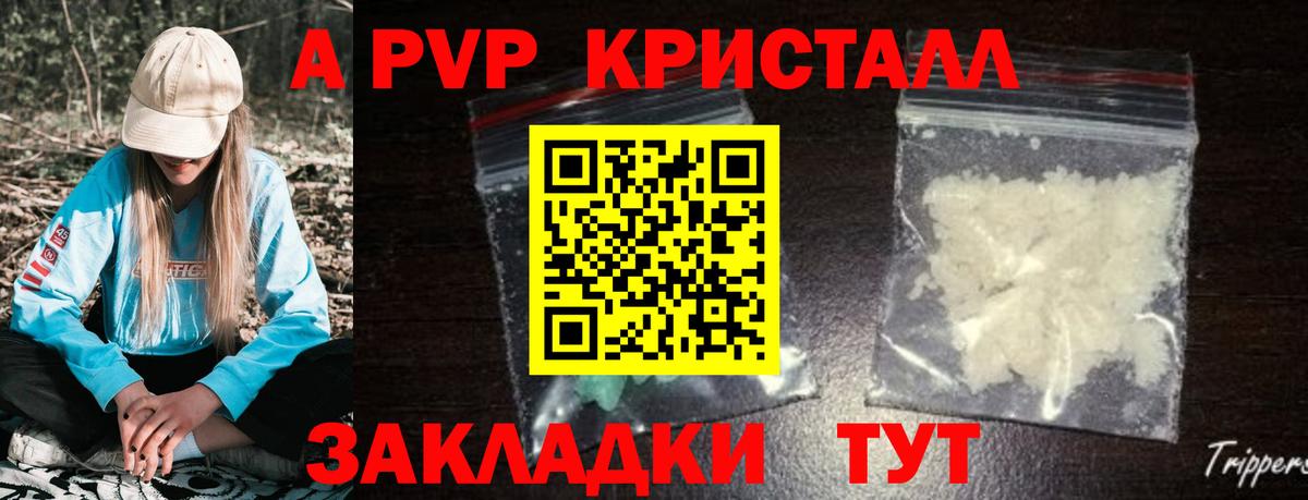 Альфа ПВП СК  Вход с VPN  Alpha PVP СК КРИС  Рыбинск 