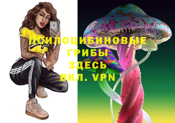 PSILOCYBIN Арсеньев
