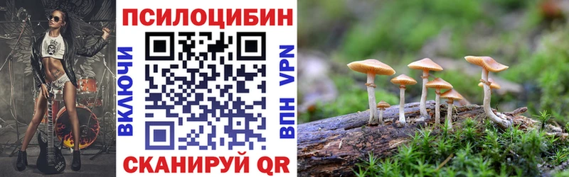 Галлюциногенные грибы мухоморы  omg вход  Рыбинск  что такое  
