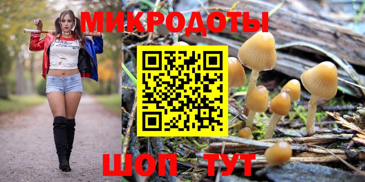 Галлюциногенные грибы MAGIC MUSHROOMS Рыбинск